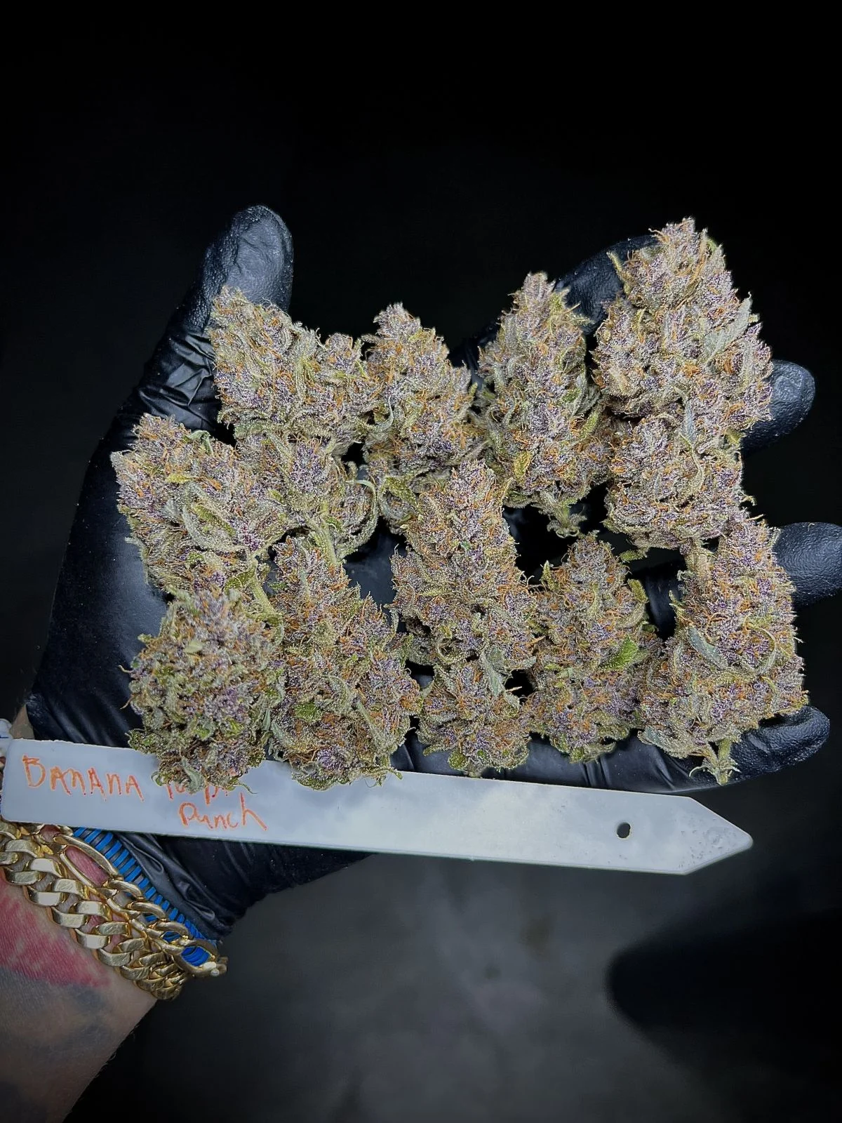 f86ced53a076775df62fe6893b7aceee